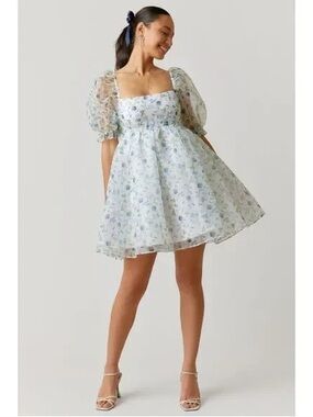 Audrey Parks x Francesca’s Asha Valney Floral Chiffon Babydoll Mini Dress Medium